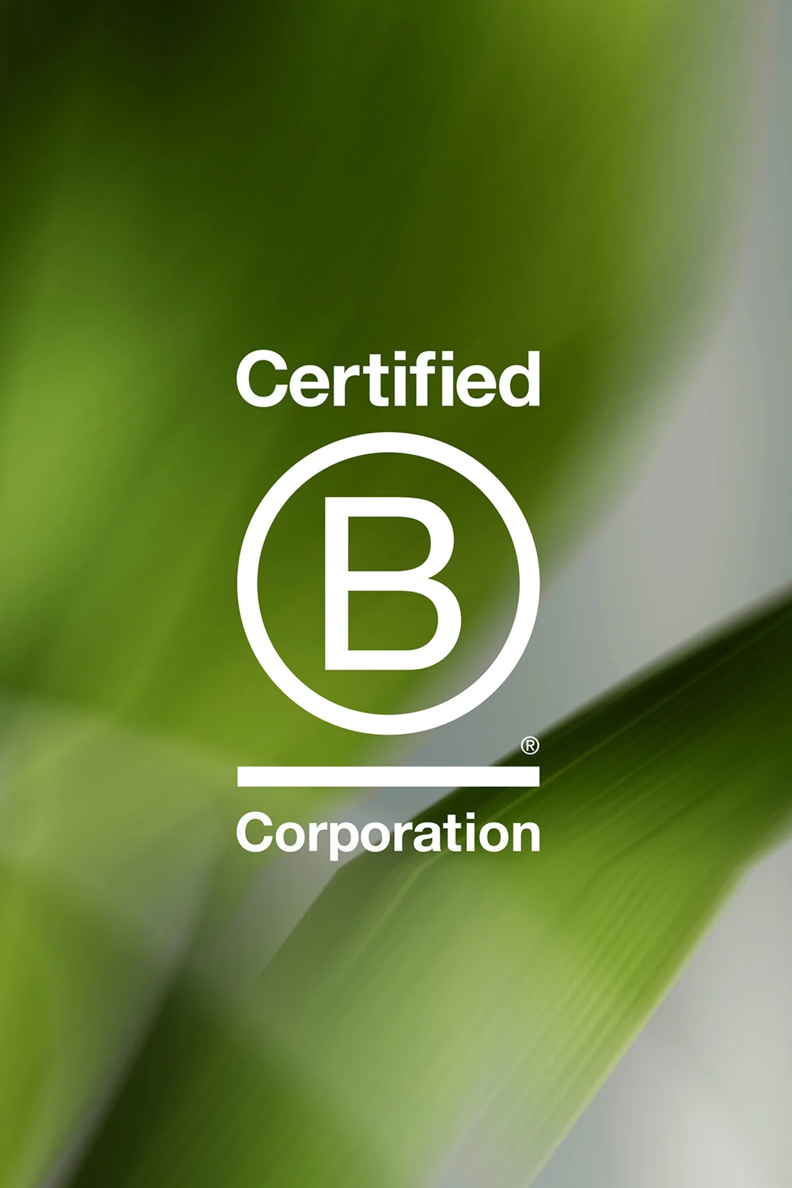 iBrush™ Ultra | Black